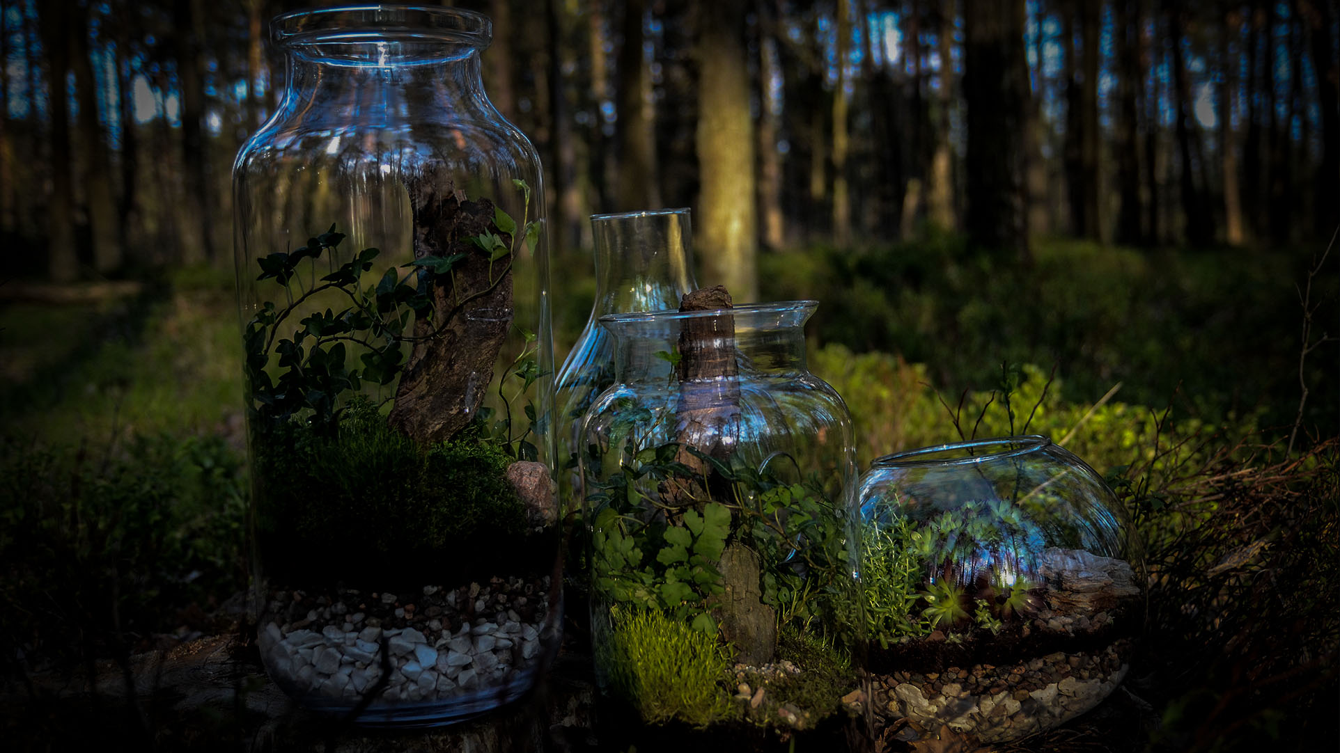 Mikroogrody - Terrarium Garden